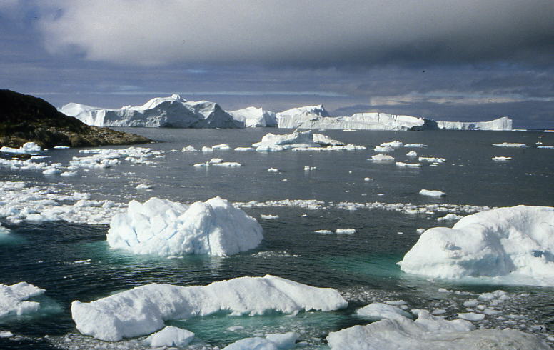 the icefront Illulisat