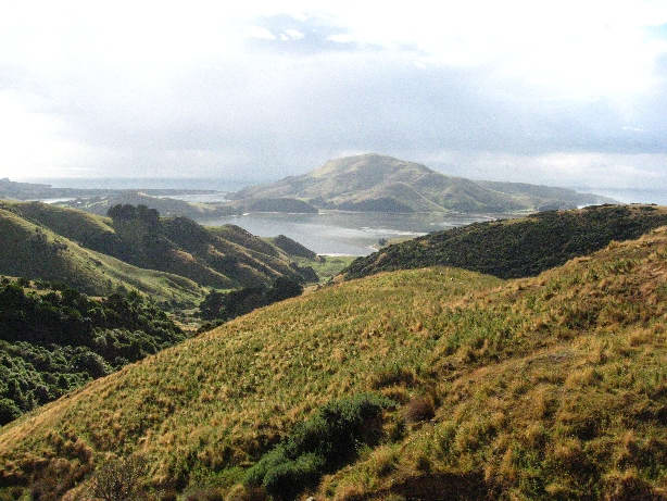 Otago peninsula