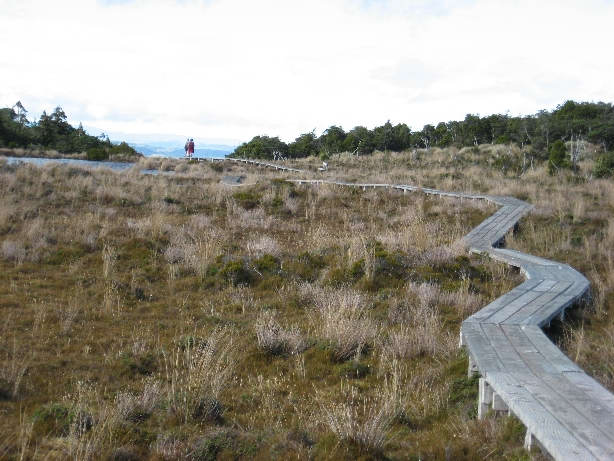 pad naar Waitongo falls