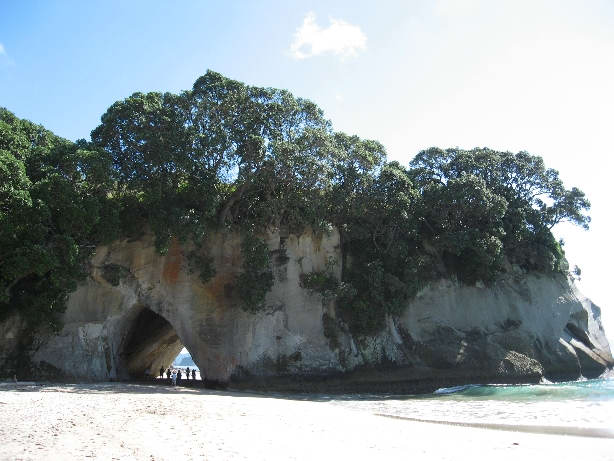 Cathedral Cove