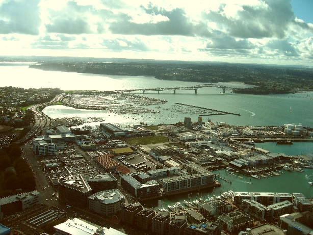haven Auckland